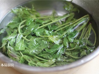 8、香椿拌豆腐,捞出香椿过两遍冷水。