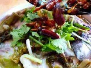 9、江湖酸菜鱼,炒锅中加入适量的油，温油加入干红辣椒、蒜片、花椒麻椒，炸至干红辣椒变酥脆后，趁热倒在做好的酸菜鱼表面即可