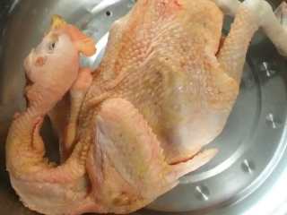 1、油焖火锅鸡,准备一只3斤左右的鸡将其宰杀洗净。