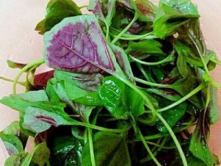 5、彩色凉皮,苋菜洗净,快速焯水,晾凉下,用手挤出汁,备用。