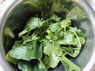 4、菠菜木耳炒鸡蛋,菠菜洗净用手拧掰成三段即可；