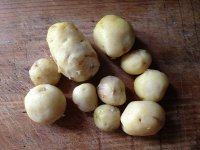 1、锅巴土豆,土豆洗净连皮煮熟，然后剥去皮