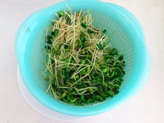 10、炝拌黑豆苗,把焯好的黑豆苗捞出来用冷水过凉