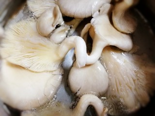 3、平菇豆腐汤,水开放入焯水半分钟。