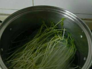 1、自制金针菇拌豆苗,豌豆苗洗净焯烫。