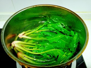 5、清炒油麦菜、菠菜,锅中放入适量清水，水开后放入菠菜焯水1分钟
