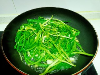 9、清炒油麦菜、菠菜,油麦菜炒至断生