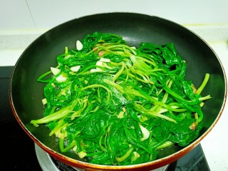 12、清炒油麦菜、菠菜,放入盐