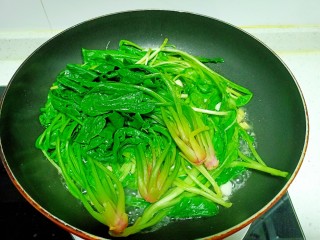 10、清炒油麦菜、菠菜,放入菠菜