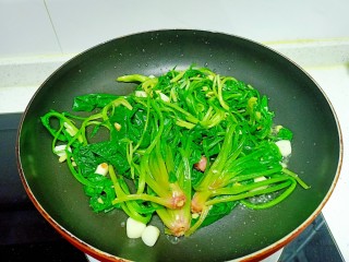 13、清炒油麦菜、菠菜,翻炒均匀
