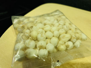 3、川贝炖雪梨,打开密封袋，就有一股药味；