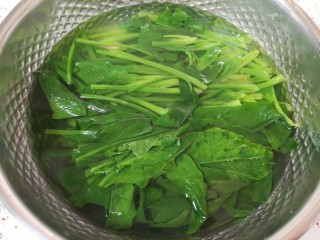 7、凉拌菠菜粉丝,捞出过凉水，挤干水分备用。