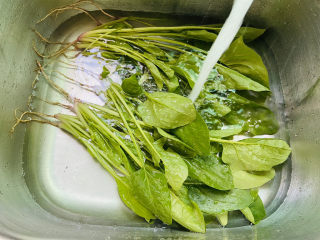 2、菠菜豆腐汤,菠菜清洗干净放入水中浸泡一会儿