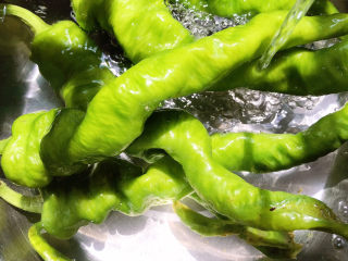 1、肉片炒青椒,青椒洗干净