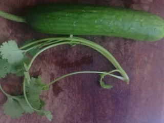 6、红油麻辣牛腱肉,准备一根黄瓜和一根香菜，黄瓜垫底用
