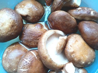 1、耗油香菇,香菇洗净，用凉水泡一会