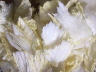 4、大白菜炖粉条,白菜切斜片