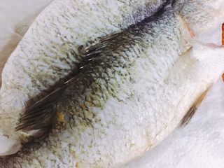 9、烤箱版烤鱼,鱼用厨房纸吸干水份