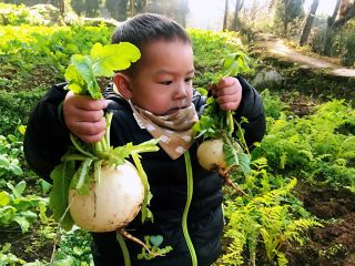 2、香辣萝卜干,从田间到餐桌,小朋友左右开弓。