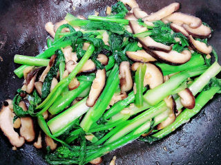 13、清炒菜心,翻炒均匀，入味即可出锅了。