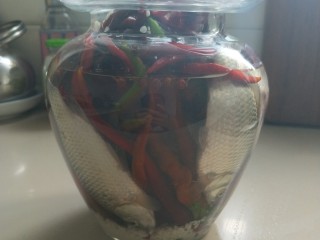 6、鱼泡辣子,把鲫鱼塞进去就可以了，等他发酵2个月，就可以炒一份正宗的鱼香肉丝啦！