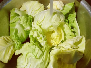 2、干锅包菜,包菜一片片摘下来，冲洗干净。