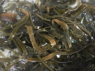 2、凉拌海带,用滚水煮海带二十分钟
