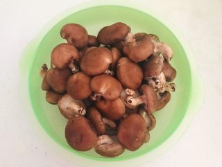 3、美味小零食  孜然香菇,香菇放入盆中