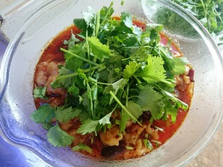 8、水煮龙利鱼,放上香菜和葱末,上桌啦,敲好吃哟,嫩,还不用吐刺!