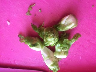 5、地方乡味菜头的几种吃法,菜头切片。