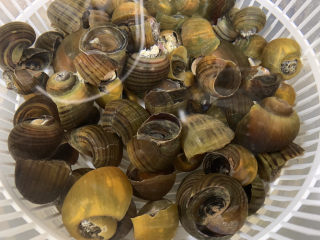 5、爆炒田螺肉,直至洗到水是干净的