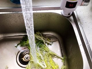 9、夏日清爽大拌菜,苦菊洗净（最好用饮用水，我这里用的是温水，因为我家水龙头是即热型的）