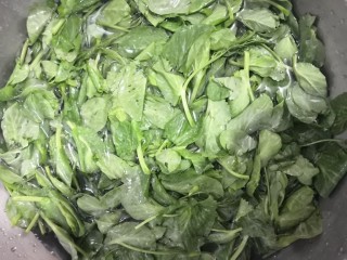 1、清炒豆苗,豆苗，清洗干净
