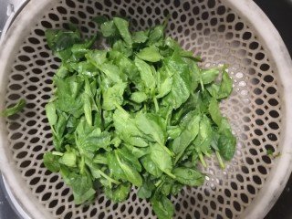 2、清炒豆苗,豆苗清洗干净，捞出，沥干水份