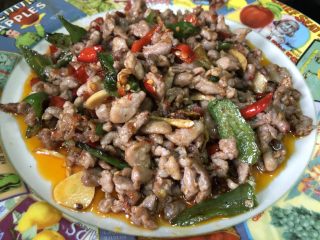 14、家常下饭鸭丝,准备一个漂亮的盘子，出锅啦。喜欢味精或者鸡精也可以加一点，我是没有加的。其实葱段也可以加，今天我家里没有，就省了。