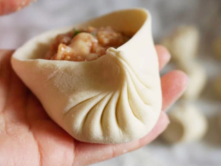 9、汁多味美的鲜肉包,右手食指和拇指提起面皮，一褶一褶把包子皮往中间提起并压紧粘合，同时左手慢慢顺时针转包子，保持右手连续压褶，一般要有15个褶子以上才会比较漂亮。