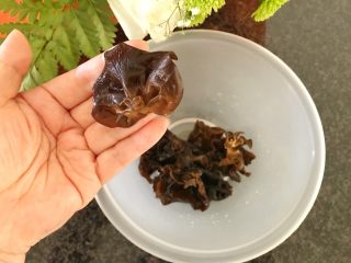 6、上汤芦笋,黑莫耳泡发好后，去蒂撕成小块，