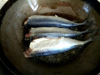 4、香辣鲅鱼,把鲅鱼放到锅中煎一会儿