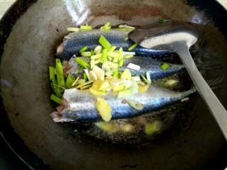 5、香辣鲅鱼,放入葱姜蒜