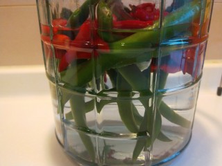 5、自制四川泡菜,要泡一周，然后在加入喜欢吃的菜。