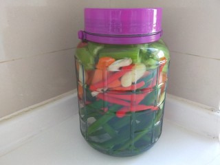 16、自制四川泡菜,盖紧盖子一周后就可以吃了，在接着续上各种菜。