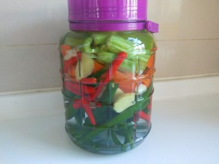 22、自制四川泡菜,成品图