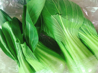 1、油菜豆腐,准备好上海青