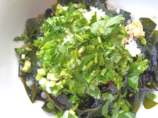 17、凉拌海藻菜,撒上香菜，搅拌均匀，装盘