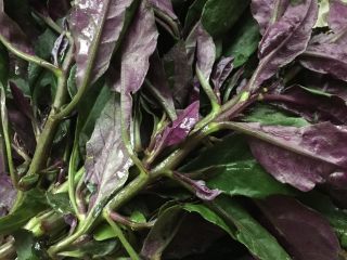 1、血皮菜炒猪肝,我们是喊的血皮菜，其他地方可能不是，特意上图