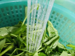 2、蒜蓉空心菜,用水冲洗