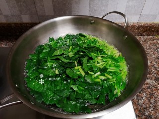 3、菠菜木耳炒鸡蛋,烧一锅水先将菠菜焯水后捞出沥干水分。