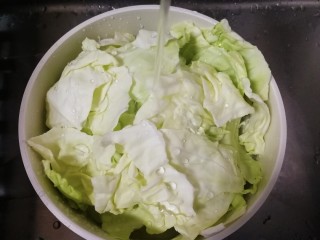 4、手撕包菜,清水冲洗干净。