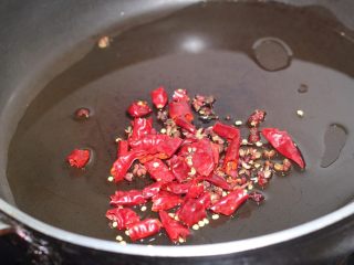 10、干煸豆角，素菜中的挖掘机,锅里重新倒一小勺食用油，凉油的时候下辣椒和花椒，小火加热到闻到香味。