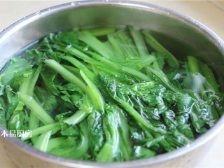 5、小白菜鸡蛋虾皮饺子,将汆烫过的小白菜，浸入冷水中降温。然后用手攥去水分放在案板上。